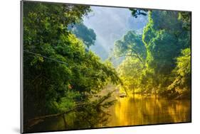 Amazing Scenic View Tropical Forest with Jungle River on Background Green Trees in the Morning Rays-Cocos Bounty-Mounted Photographic Print