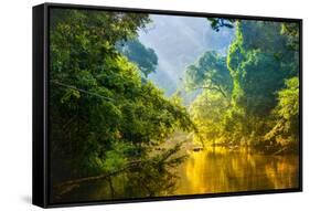 Amazing Scenic View Tropical Forest with Jungle River on Background Green Trees in the Morning Rays-Cocos Bounty-Framed Stretched Canvas