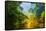 Amazing Scenic View Tropical Forest with Jungle River on Background Green Trees in the Morning Rays-Cocos Bounty-Framed Stretched Canvas
