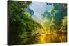 Amazing Scenic View Tropical Forest with Jungle River on Background Green Trees in the Morning Rays-Cocos Bounty-Stretched Canvas