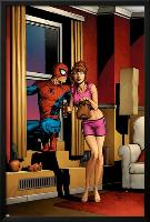 Amazing Spider-Man No.515 Cover: Spider-Man, and Mary Jane Watson-null-Lamina Framed Poster