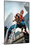 Amazing Spider-Man No.520 Cover: Spider-Man Swimming-Mike Deodato-Mounted Poster