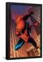 Amazing Spider-Man No.641: Spider-Man Swinging-Joe Quesada-Framed Poster