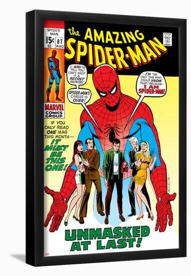 Amazing Spider-Man No.87 Cover: Spider-Man, Mary Jane, Gwen, Harry Osborn, and Peter Parker Posing-null-Framed Poster