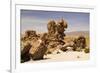 Amazing Stone Structures Made by Wind in Uyuni Desert.-AarStudio-Framed Photographic Print