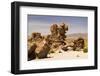 Amazing Stone Structures Made by Wind in Uyuni Desert.-AarStudio-Framed Photographic Print