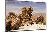 Amazing Stone Structures Made by Wind in Uyuni Desert.-AarStudio-Mounted Photographic Print