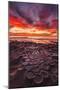 Amazing Sunset at the Tide Pools in La Jolla, Ca-Andrew Shoemaker-Mounted Photographic Print