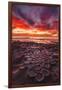 Amazing Sunset at the Tide Pools in La Jolla, Ca-Andrew Shoemaker-Framed Photographic Print