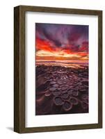 Amazing Sunset at the Tide Pools in La Jolla, Ca-Andrew Shoemaker-Framed Photographic Print