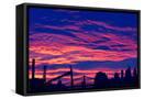 Framed Canvas