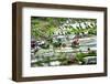 Amazing Tilt Shift Effect View of Rice Terraces Fields and Village Houses in Ifugao Province Mounta-Perfect Lazybones-Framed Photographic Print