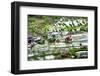 Amazing Tilt Shift Effect View of Rice Terraces Fields and Village Houses in Ifugao Province Mounta-Perfect Lazybones-Framed Photographic Print