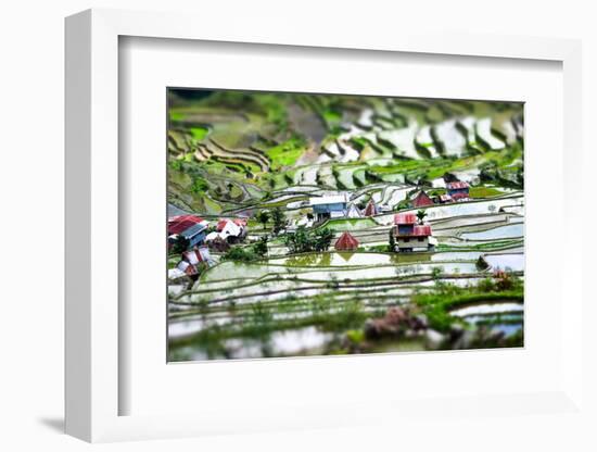 Amazing Tilt Shift Effect View of Rice Terraces Fields and Village Houses in Ifugao Province Mounta-Perfect Lazybones-Framed Photographic Print