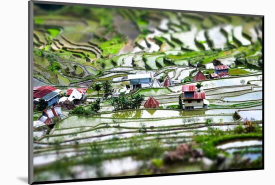 Amazing Tilt Shift Effect View of Rice Terraces Fields and Village Houses in Ifugao Province Mounta-Perfect Lazybones-Mounted Photographic Print