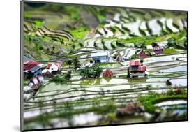 Amazing Tilt Shift Effect View of Rice Terraces Fields and Village Houses in Ifugao Province Mounta-Perfect Lazybones-Mounted Photographic Print