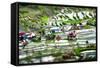 Amazing Tilt Shift Effect View of Rice Terraces Fields and Village Houses in Ifugao Province Mounta-Perfect Lazybones-Framed Stretched Canvas