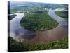 Amazon, Amazon River, Bends in the Nanay River, a Tributary of the Amazon River, Peru-Paul Harris-Stretched Canvas