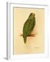 Amazon Green, 1984-Mary Clare Critchley-Salmonson-Framed Giclee Print