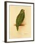 Amazon Green, 1984-Mary Clare Critchley-Salmonson-Framed Giclee Print