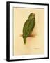 Amazon Green, 1984-Mary Clare Critchley-Salmonson-Framed Giclee Print