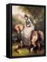 Amazon in the Forest at Pierrefonds-Alfred De Dreux-Framed Stretched Canvas