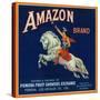 Amazon Orange Label - Pomona, CA-Lantern Press-Stretched Canvas