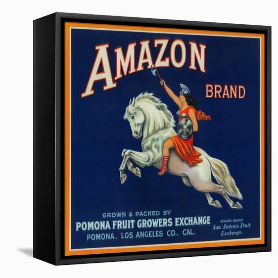 Amazon Orange Label - Pomona, CA-Lantern Press-Framed Stretched Canvas