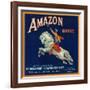 Amazon Orange Label - Pomona, CA-Lantern Press-Framed Art Print