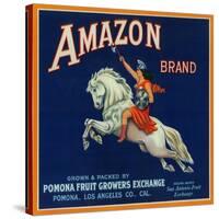 Amazon Orange Label - Pomona, CA-Lantern Press-Stretched Canvas
