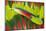 Amazon Parrot Tail Feathers-Darrell Gulin-Mounted Photographic Print