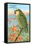 Amazon Parrot-null-Framed Stretched Canvas