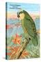 Amazon Parrot-null-Stretched Canvas