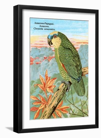 Amazon Parrot-null-Framed Art Print