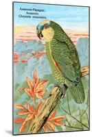 Amazon Parrot-null-Mounted Art Print