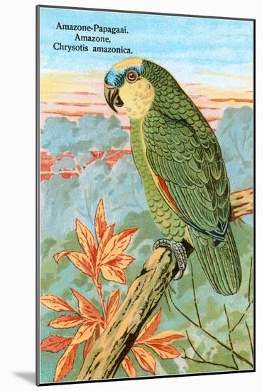 Amazon Parrot-null-Mounted Art Print