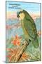 Amazon Parrot-null-Mounted Art Print