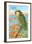 Amazon Parrot-null-Framed Art Print