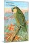 Amazon Parrot-null-Mounted Art Print