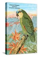 Amazon Parrot-null-Stretched Canvas