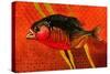 Amazon Piranha-John Newcomb-Stretched Canvas