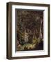 Amazon Rainforest-null-Framed Giclee Print