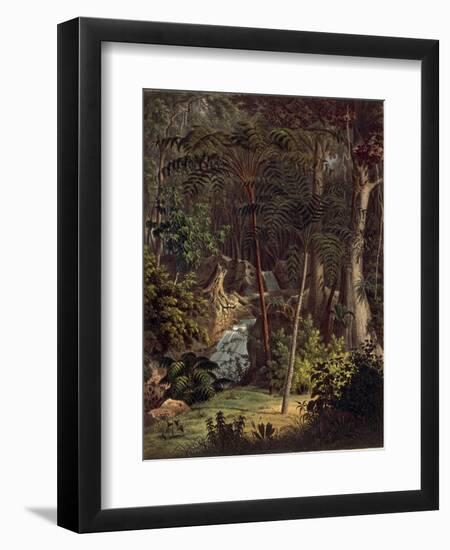 Amazon Rainforest-null-Framed Giclee Print