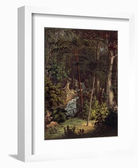 Amazon Rainforest-null-Framed Giclee Print