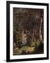 Amazon Rainforest-null-Framed Giclee Print