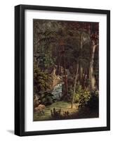 Amazon Rainforest-null-Framed Giclee Print