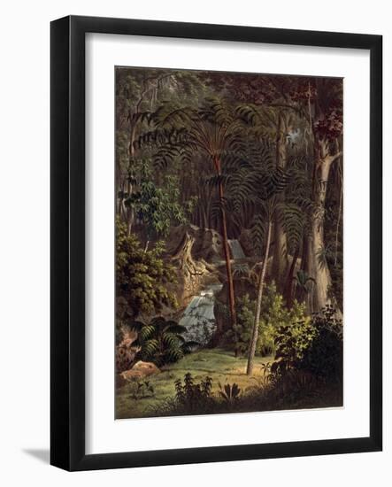 Amazon Rainforest-null-Framed Giclee Print