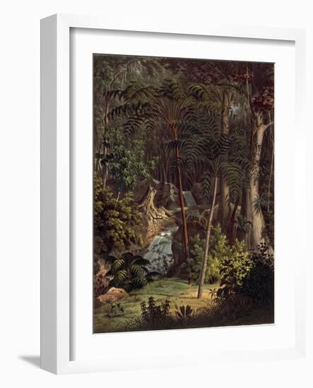 Amazon Rainforest-null-Framed Giclee Print