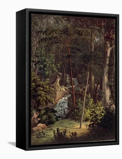 Amazon Rainforest-null-Framed Stretched Canvas