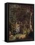 Amazon Rainforest-null-Framed Stretched Canvas